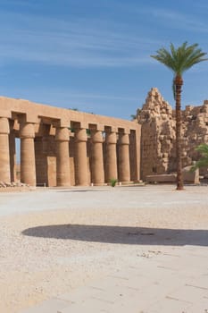The first courtyard of the temple at Karnak. Temple pillars and palm.  (Egypt)