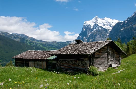 Mountain farmhouse on the alp