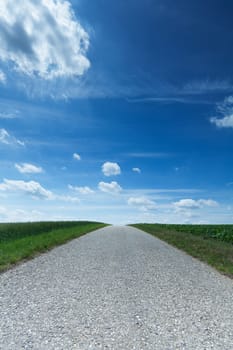 Country road with horizon,asphalt in nature with sky and cumulus clouds