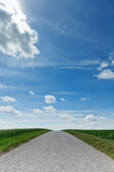 Country road with horizon,asphalt in nature with sky and cumulus clouds