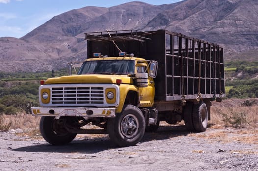 an old yellow truck to transport animals