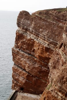 The guillemot rock on Heligoland