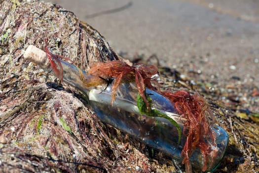 Message in a bottle on the beach