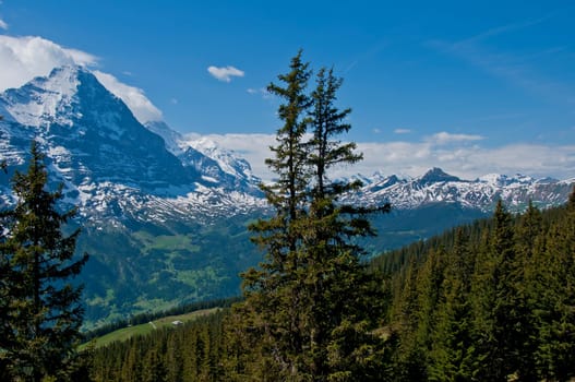 View of the Lütschinen Valley
