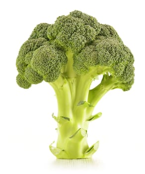 Raw broccoli isolated on white