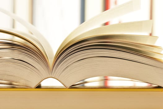 Composition with stack of books