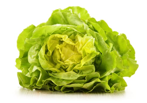 Fresh lettuce isolated on white