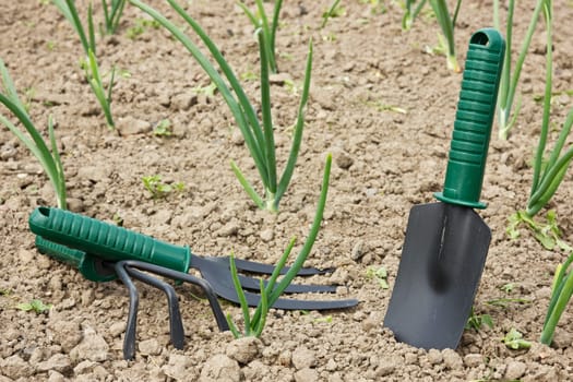 tools for gardening and working her soil