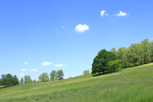 Natural landscape in Saxony,with blue sky,edge of forest and meadow