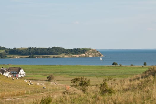 View of a bay near Zicker on the Baltic Sea