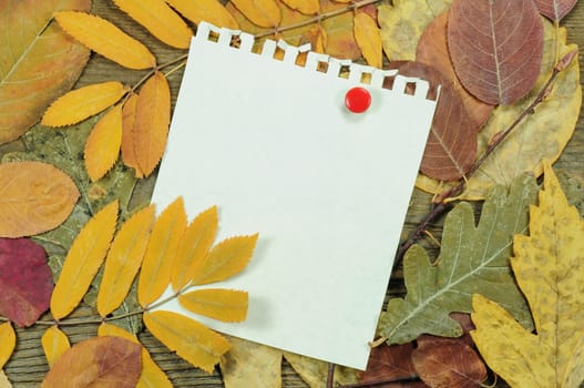 Notepad