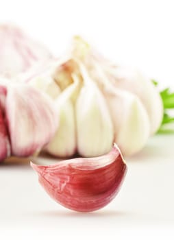 Fresh garlic with parsley isolated on white