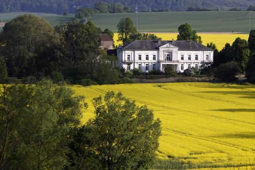Ohr Manor