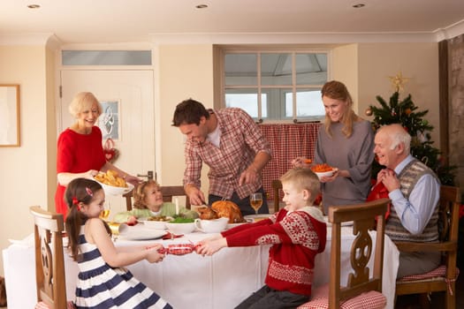 Family serving Christmas dinner
