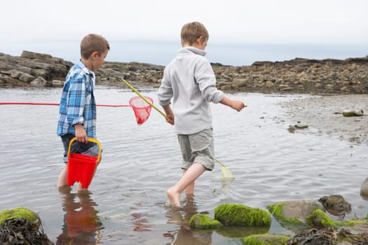 Two boys collecting shells on beach