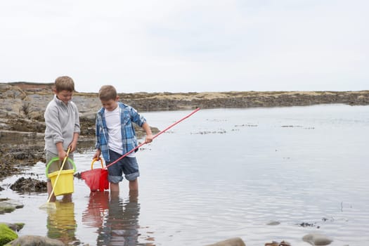 Two boys collecting shells on beach