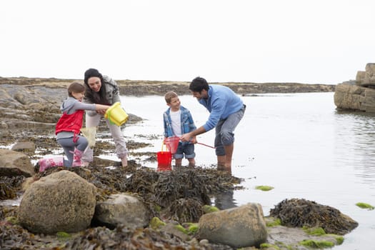 Young family at beach collecting shells