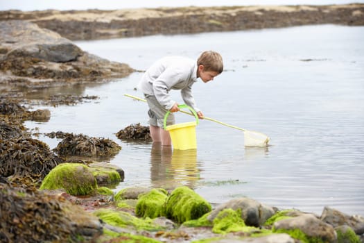 Boy on beach collecting shells