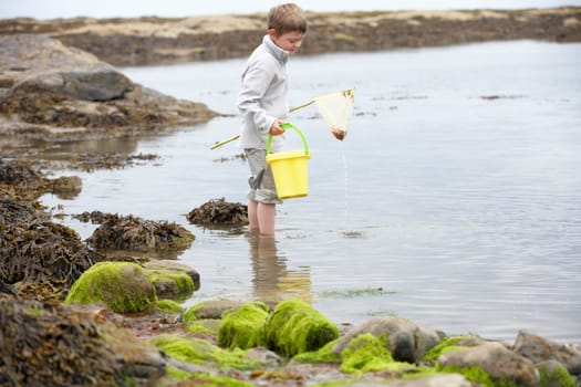 Boy on beach collecting shells