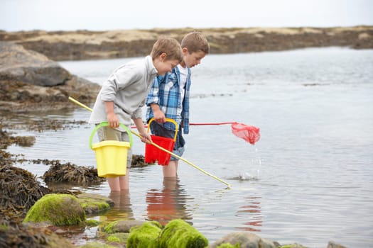 Two boys collecting shells on beach