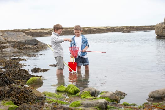 Two boys collecting shells on beach