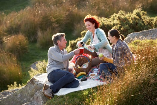 Friends on country picnic