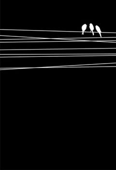 High contrast cables and birds background. Vector file available.