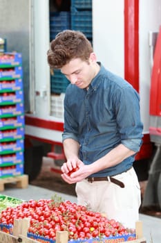 Young attractive man at grocery choosing tomatoes