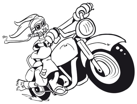One rabbit mounted on a motorcycle isolated on white background. Vector file layered for easy manipulation and custom coloring.