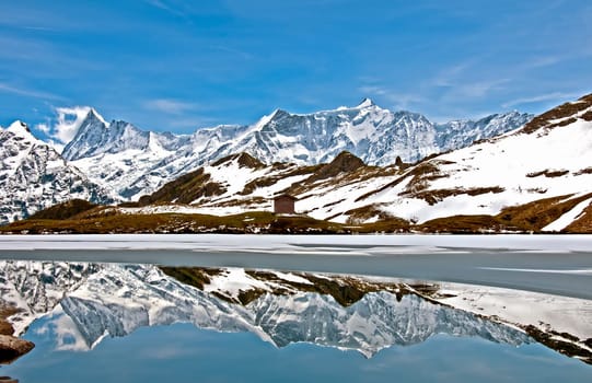 Bachalpsee Reflection