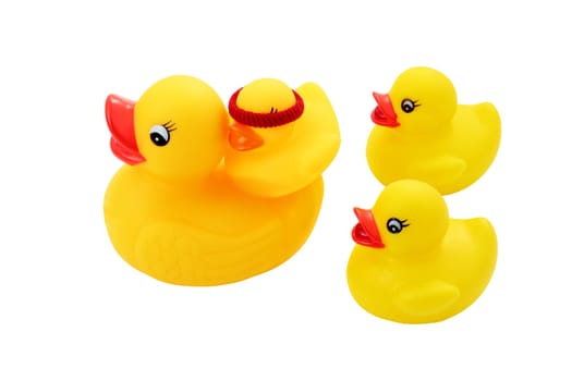 family of rubber ducks supporting the small cut in your blindness and isolated