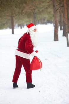 Santa Claus rambling in winter wood