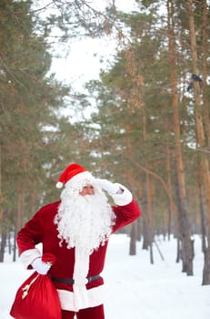 Santa Claus looking for way in winter forest