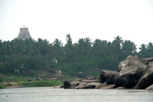 Temple tower hidden behind foliage with river and rocks in foreground at Hampi, Karnataka, India, Asia
