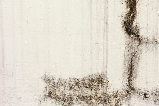 The Background from high detailed fragment stone wall