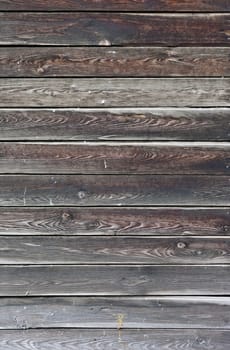 the brown wood texture with natural patterns