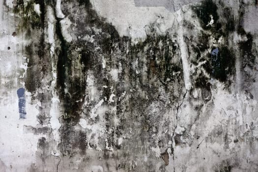 The Grunge cracked concrete wall for design