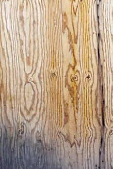 the background of weathered white painted wood