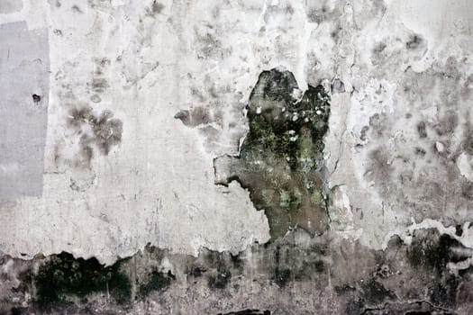 The Grunge cracked concrete wall for design