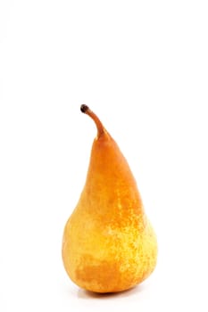 Fruit