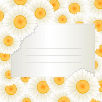 Decorative greeting text card with oxeye daisy frame.