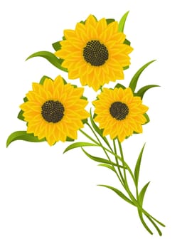 Sunflowers illustration, isolated and grouped objects over white background.