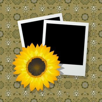 Two blank photo frames with a sunflower , abstract art