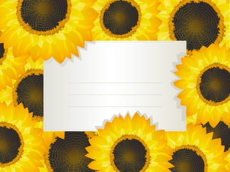Illustration of a empty invitation card over a sunflower bed