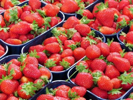 strawberry