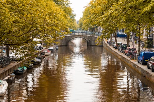 Trees lined canal in Amsterdam, Holland, with yellow leaves.