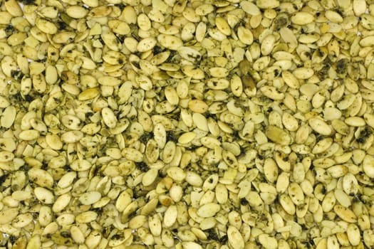Organic raw, sprouted pumpkin seeds dried make a delicious natural snack.