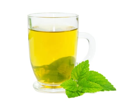 Glass of herbal lemon balm tisane or tea with fresh green leaves on a white studio bacground