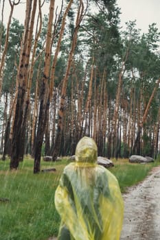 Defocused Back view on carefree woman in yellow raincoat walking in autumn forest enjoying rainy weather outdoors. Female tourist discover park in rainy season. Closeness to nature. Mental healing fulfillment clean air