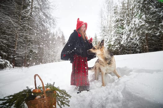 Cute little girl in red cap or hat and black coat with basket of green fir branches in snow forest and big dog shepherd looking as wolf on cold winter day. Fun and fairytale on photo shoot